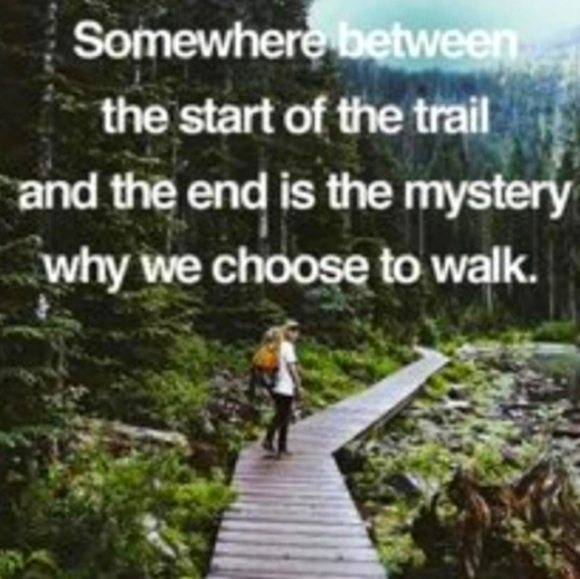 🍪 NWT !! TY Beanie Kid "Cookie" CHRISTMAS  🎄 STOCKING PERFECT - Picture 14 of 16